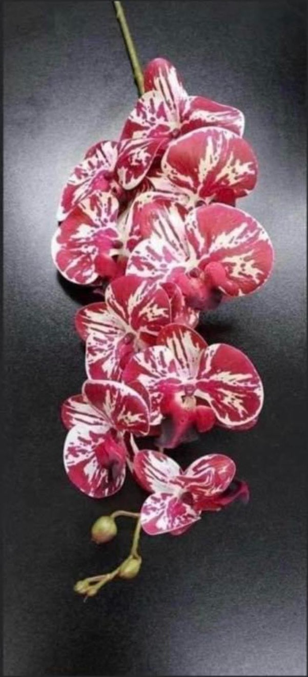 Orhidee artificială roșie cu accente albe – 100 cm, floare decorativă realistă