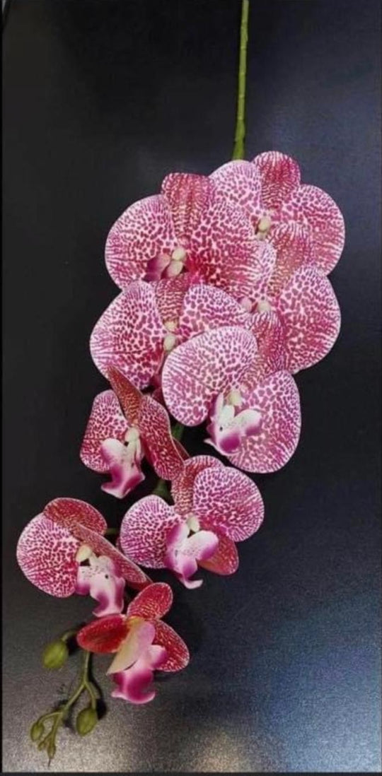 Orhidee artificială roz-roșu cu petale punctate – 100 cm, floare decorativă realistă