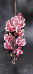 Orhidee artificială bordo cu alb – 100 cm, floare decorativă realistă