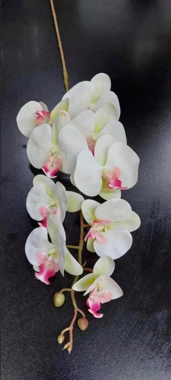 Orhidee artificială albă cu accente roz – 100 cm, floare
