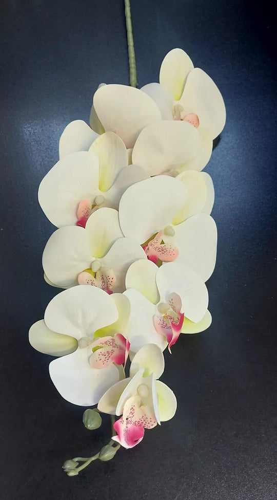 Orhidee artificială crem cu roz punctat – 100 cm, decorativă realistă