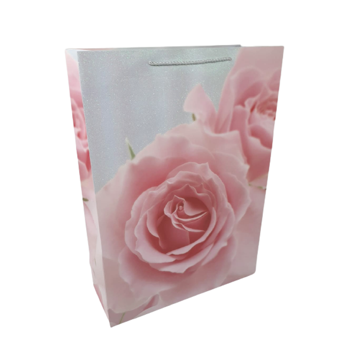 Lve Pungi Cadou 55*40*15cm 12buc/set 41-4